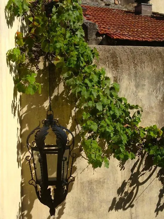 Guest house La Maison D'Isidore Saint-Remy-de-Provence